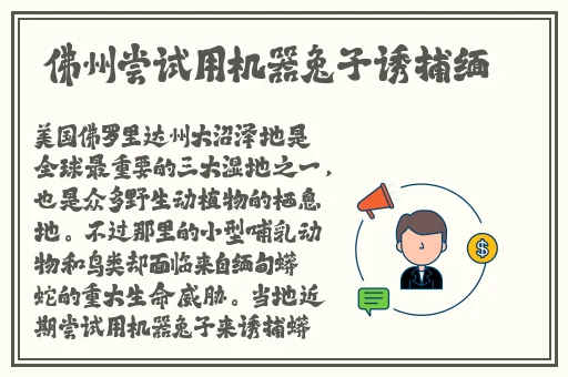 你越叫我就越有感觉